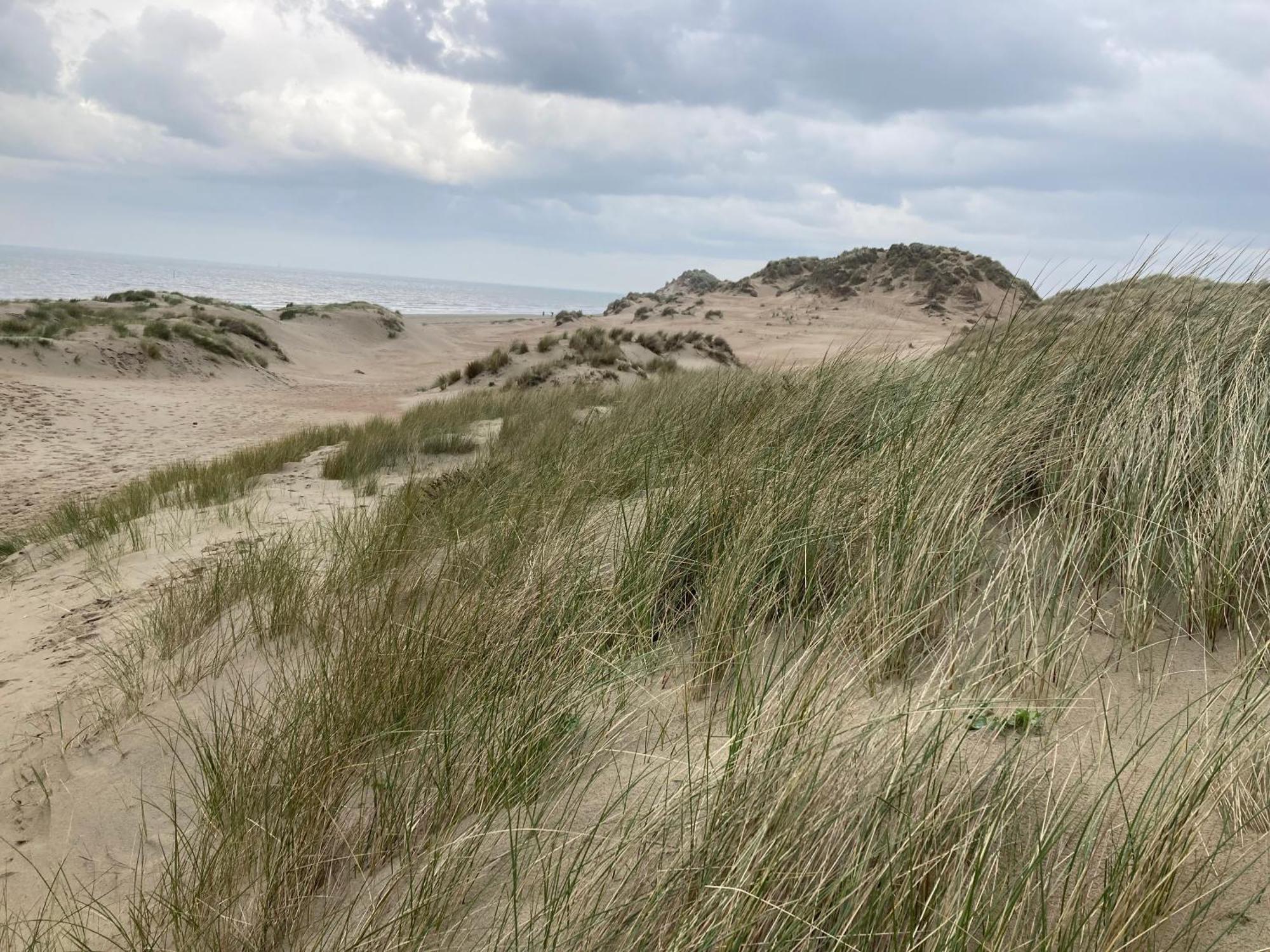 Terduinen Βίλα Oostduinkerke Εξωτερικό φωτογραφία